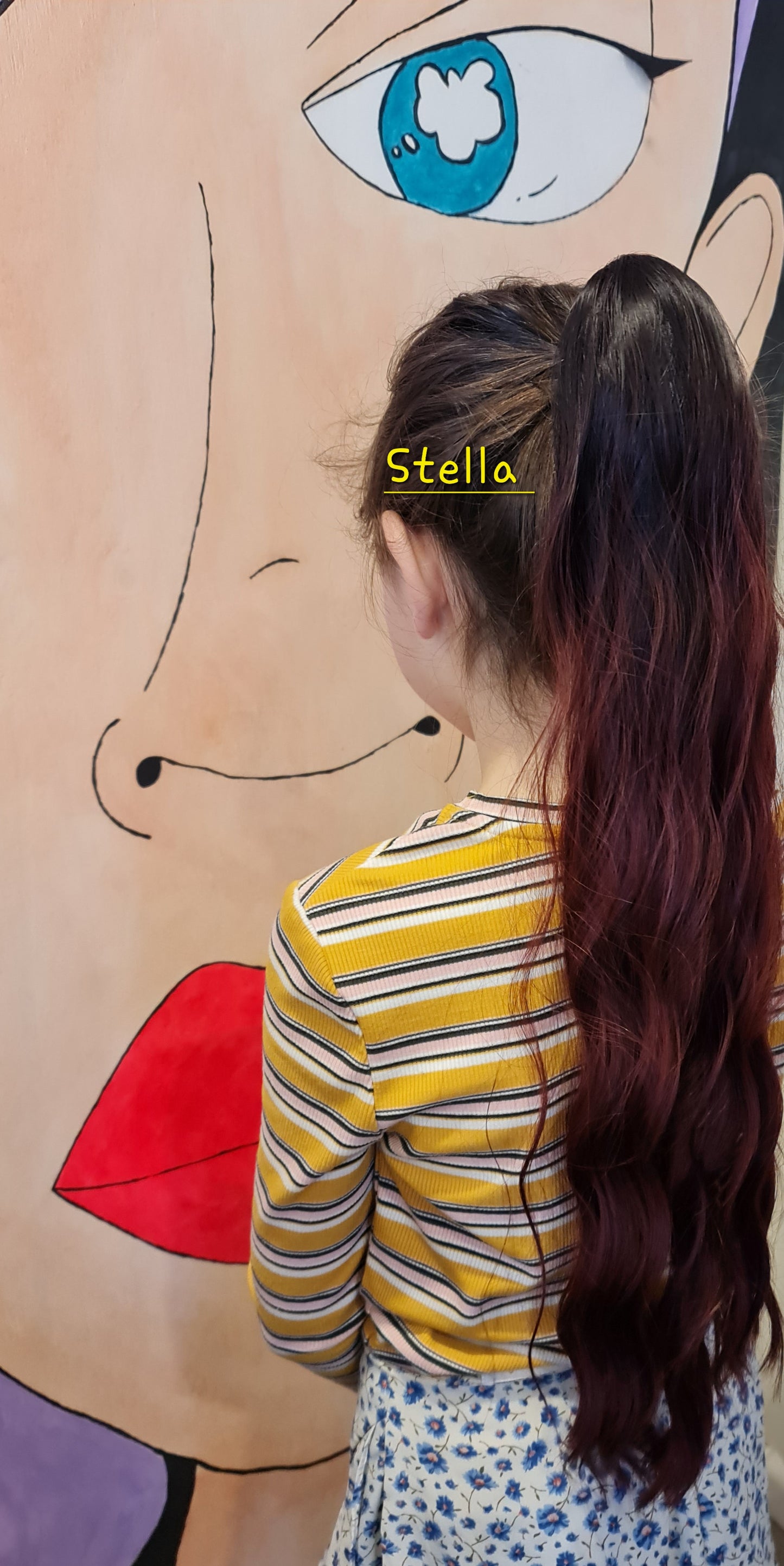 Ponytail Hair Extension 22" (Stella)