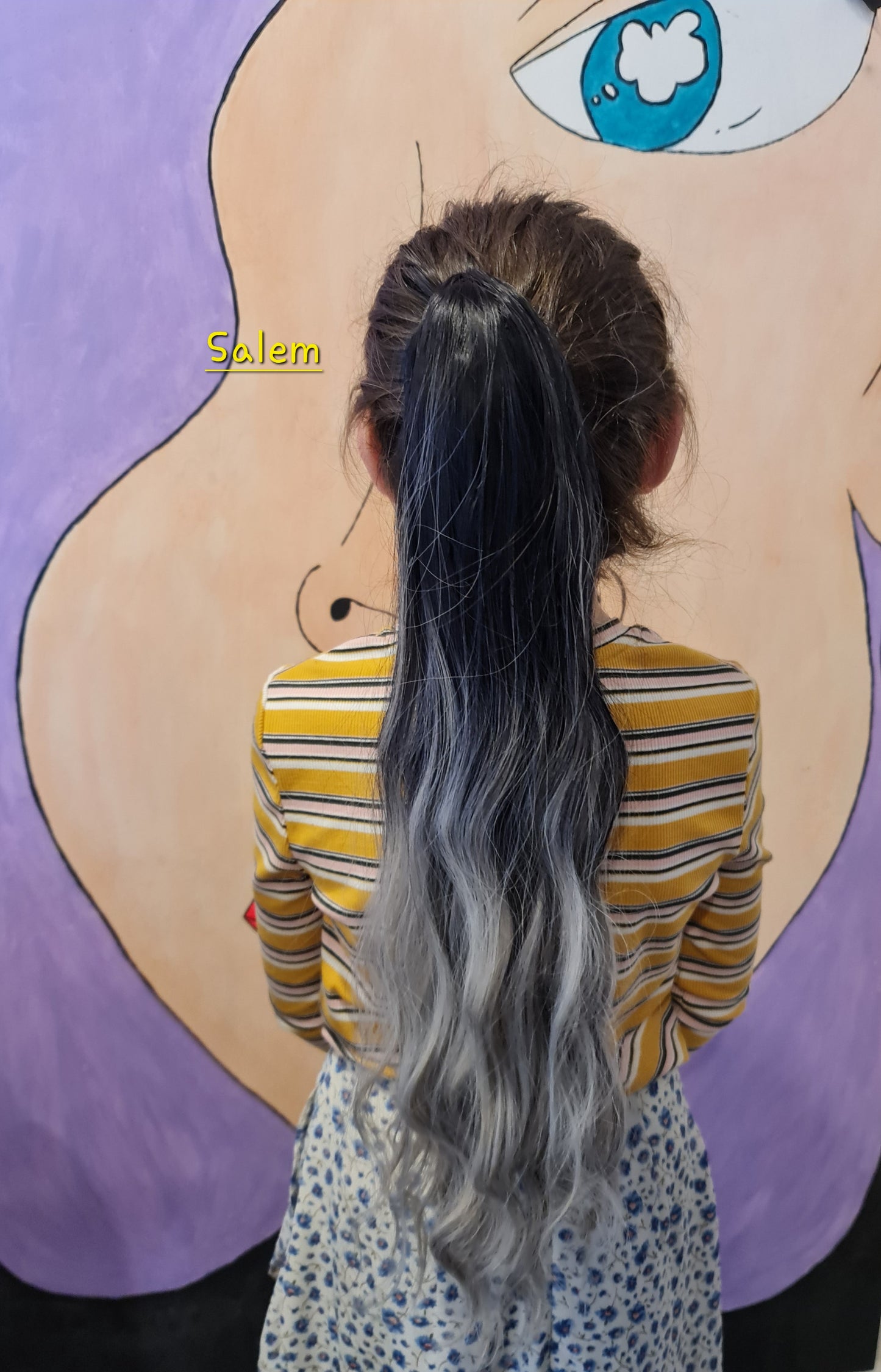 Ponytail Hair Extension 24" (Salem)